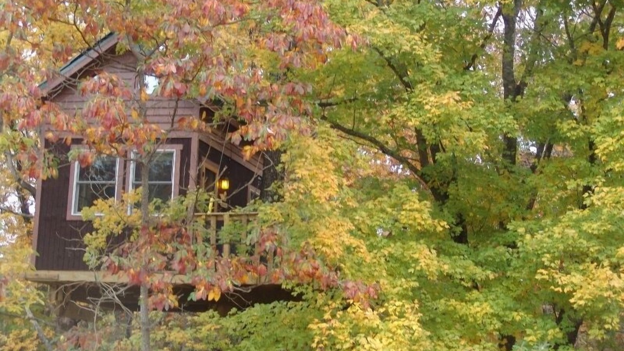 Photo of Outdoor in Hardin County