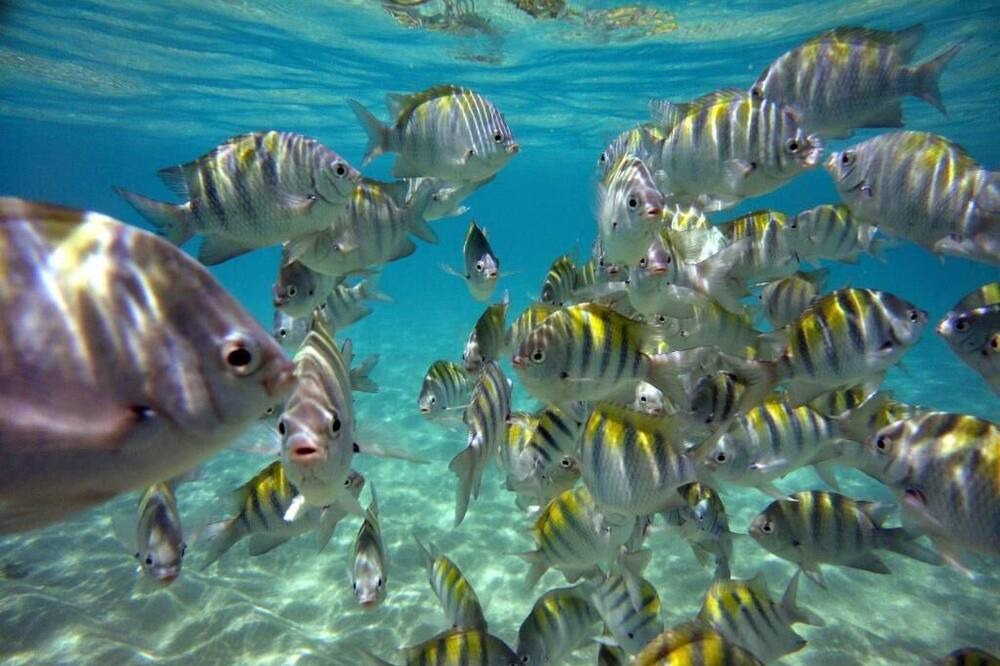Photo of Outdoor in Ponta da Terra