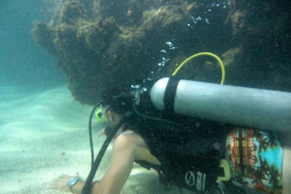 Photo of Others in Ponta da Terra
