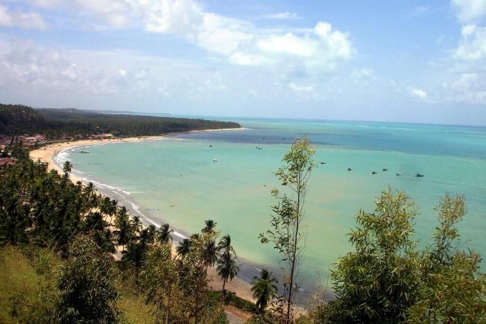 Photo of Others in Ponta da Terra