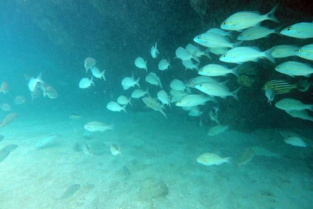 Photo of Outdoor in Ponta da Terra