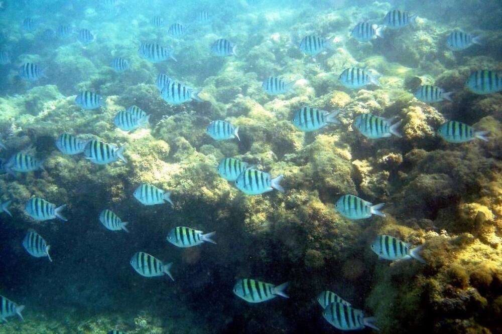 Photo of Outdoor in Ponta da Terra