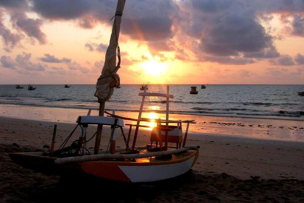 Photo of Others in Ponta da Terra