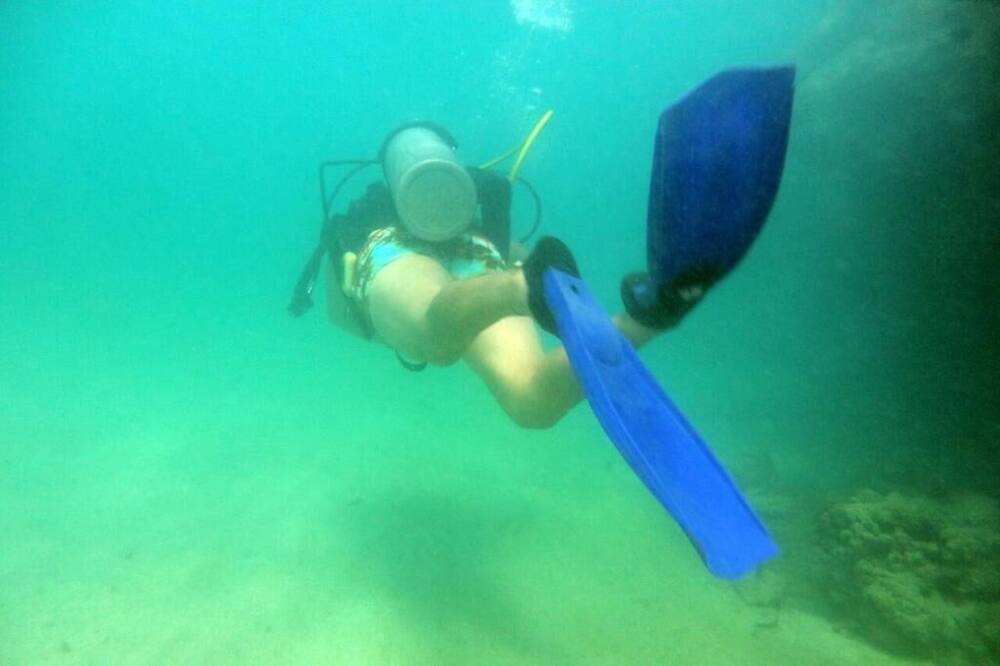 Photo of Others in Ponta da Terra