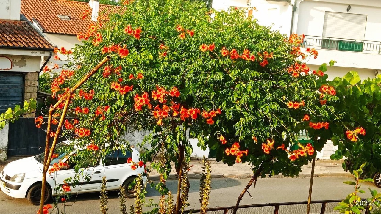Photo of Outdoor in Mirandela