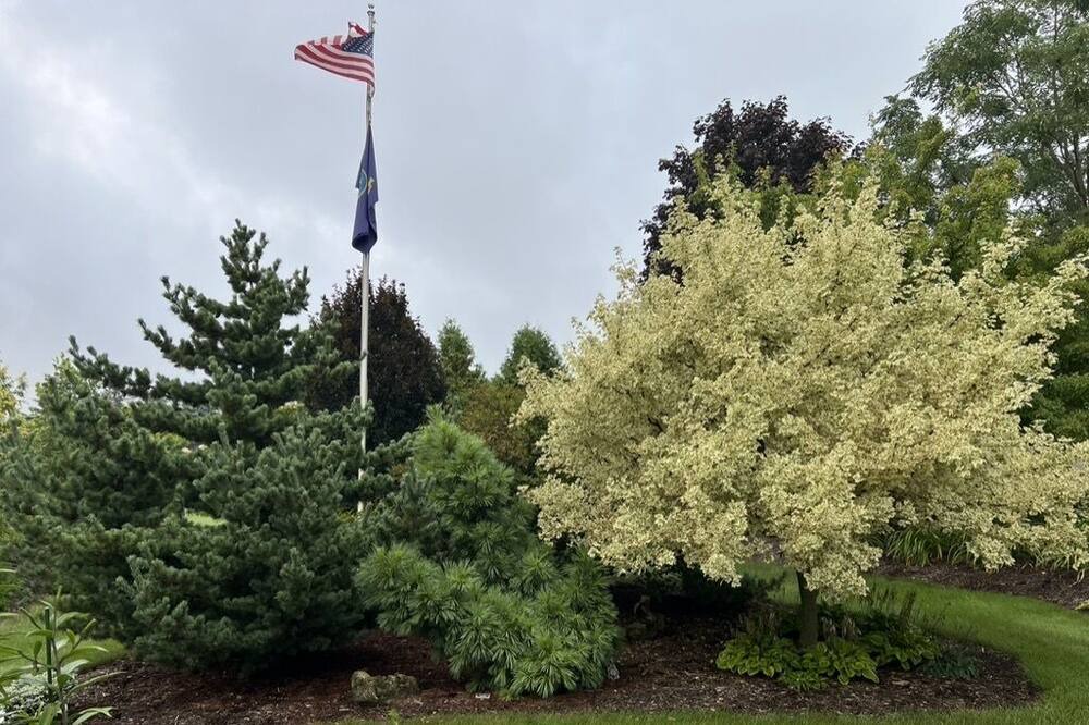 Photo of Outdoor in Cascade