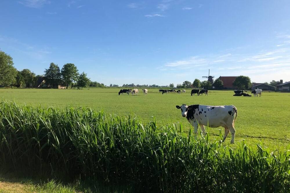 Photo of Outdoor in Langweer