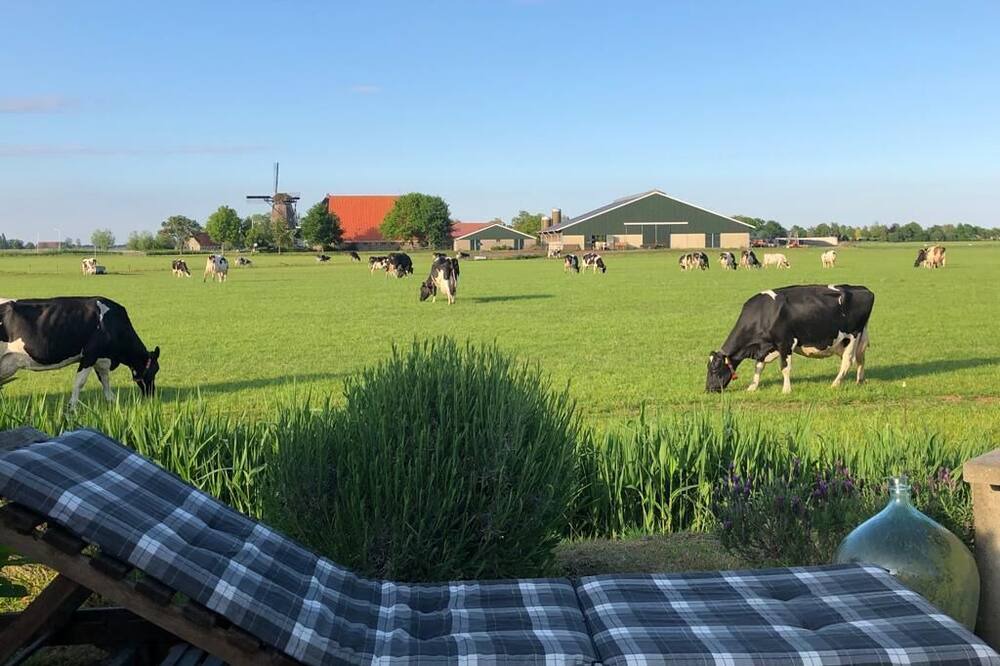 Photo of Outdoor in Langweer