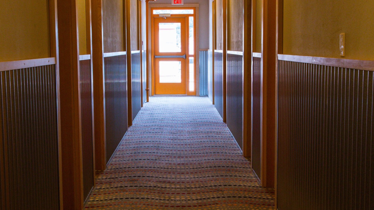 Photo of Others in Nelson