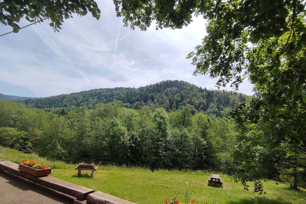 Photo of Outdoor in Miellin