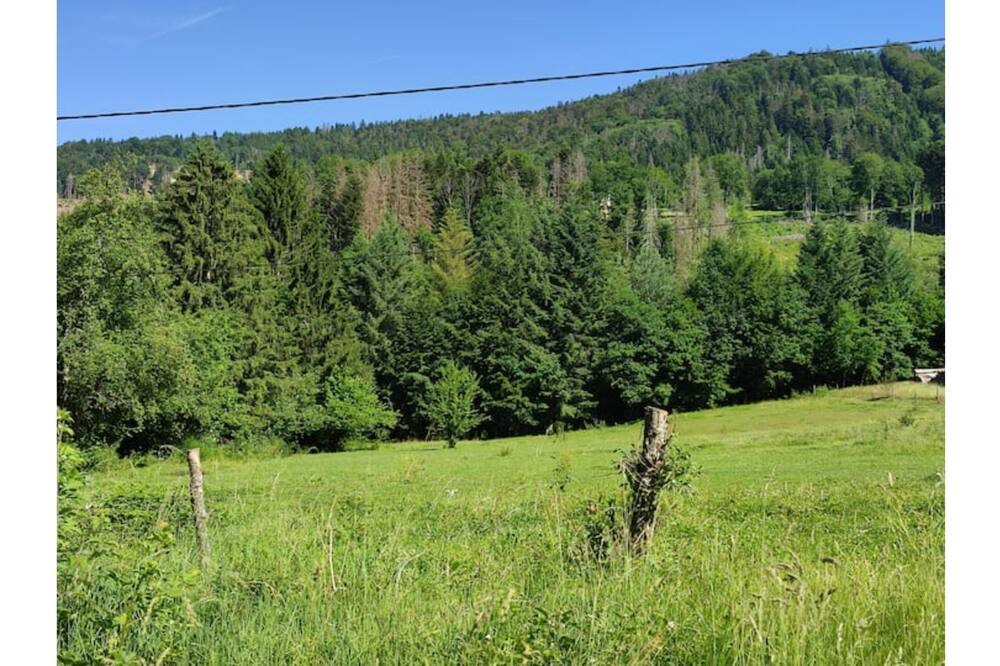 Photo of Outdoor in Miellin