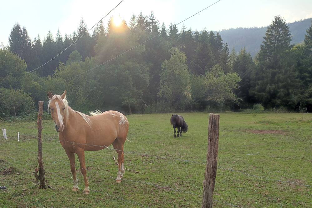 Photo of Outdoor in Miellin