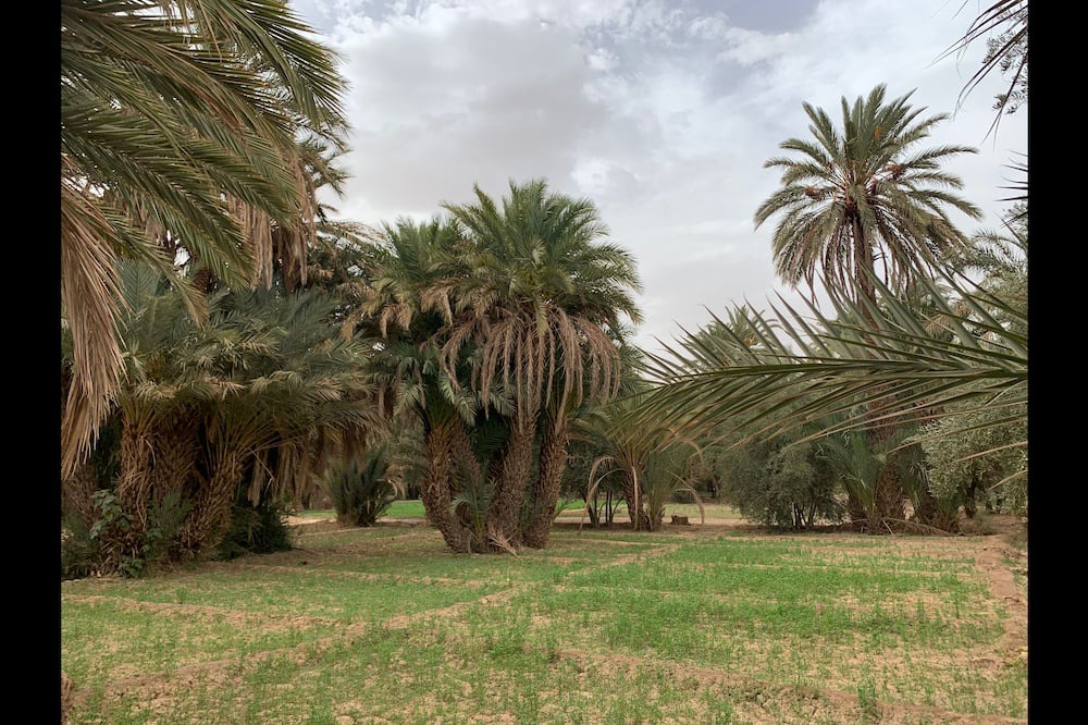 Photo of Outdoor in Ksar el Borj