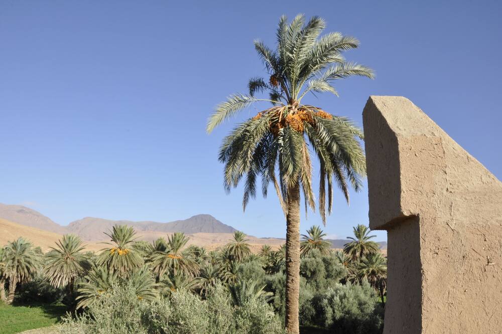 Photo of Outdoor in Ksar el Borj