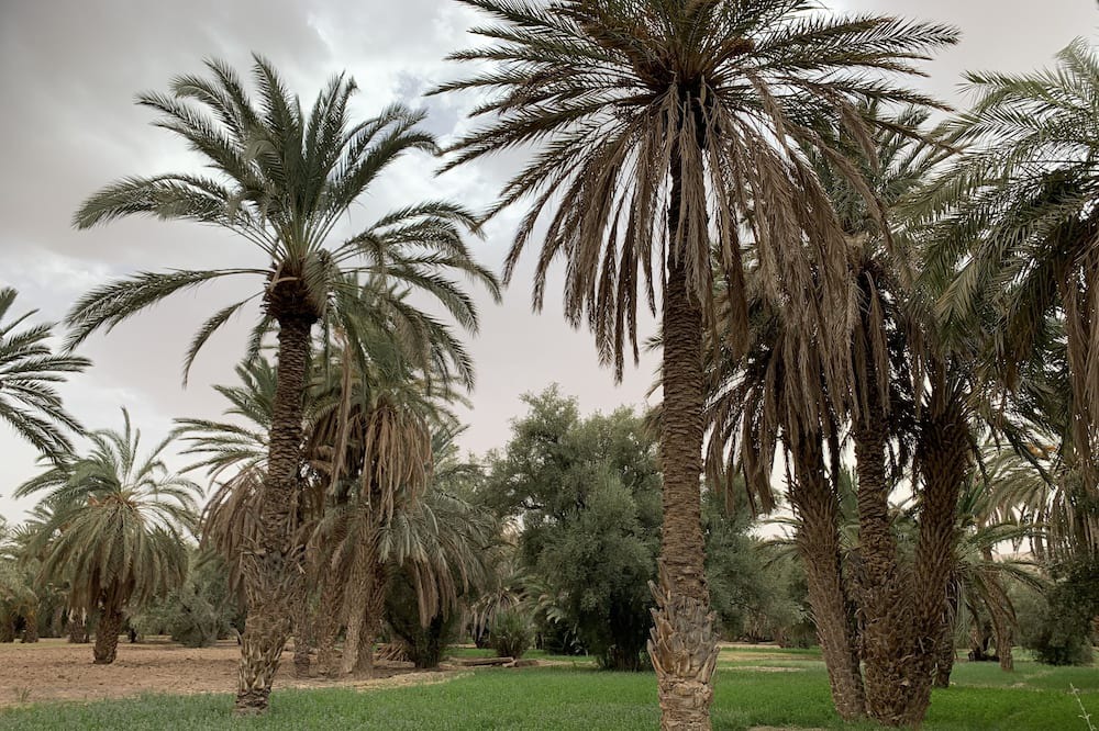Photo of Outdoor in Ksar el Borj