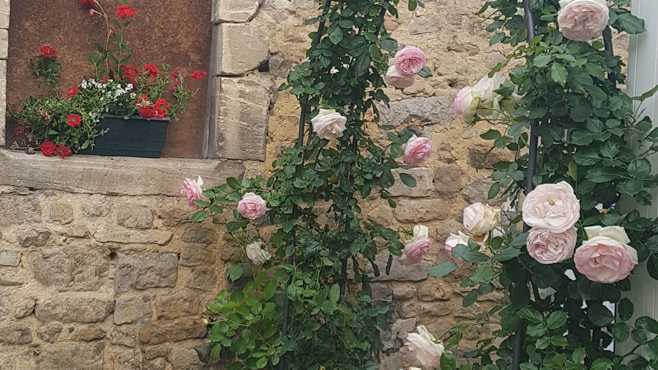 Photo of Outdoor in Bayeux