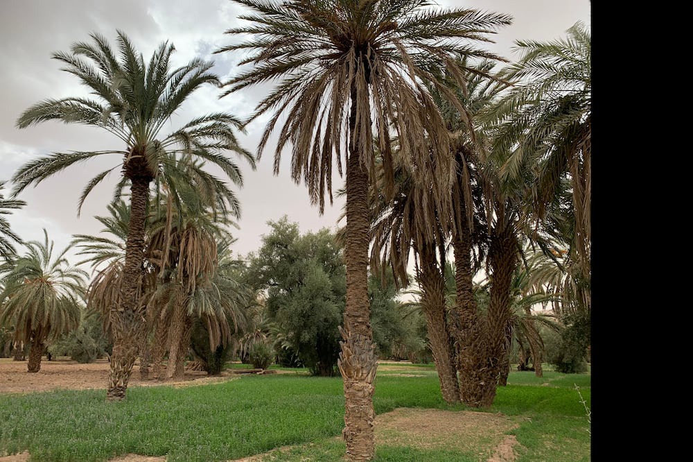 Photo of Outdoor in Ksar el Borj