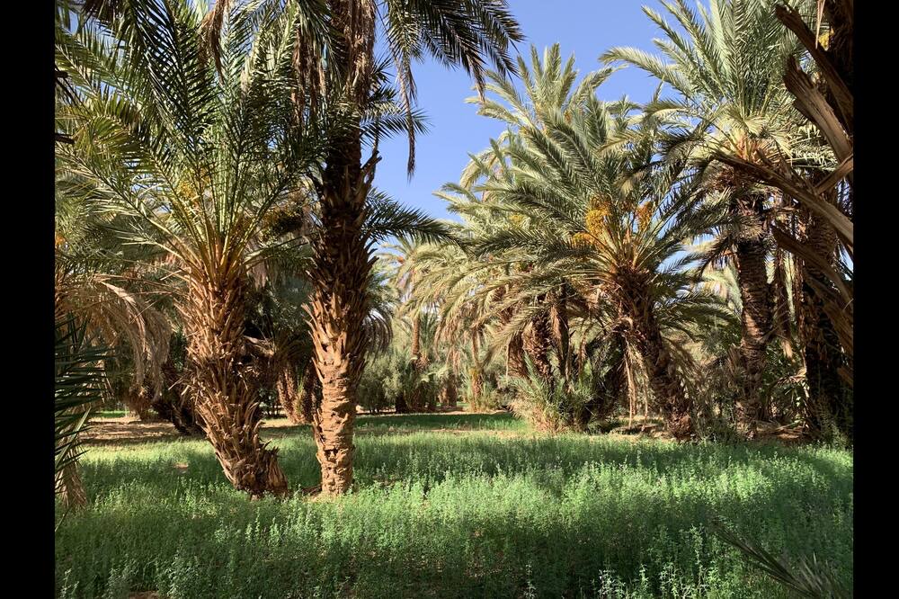 Photo of Outdoor in Ksar el Borj