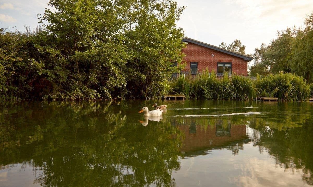 Photo of Outdoor in Rookley