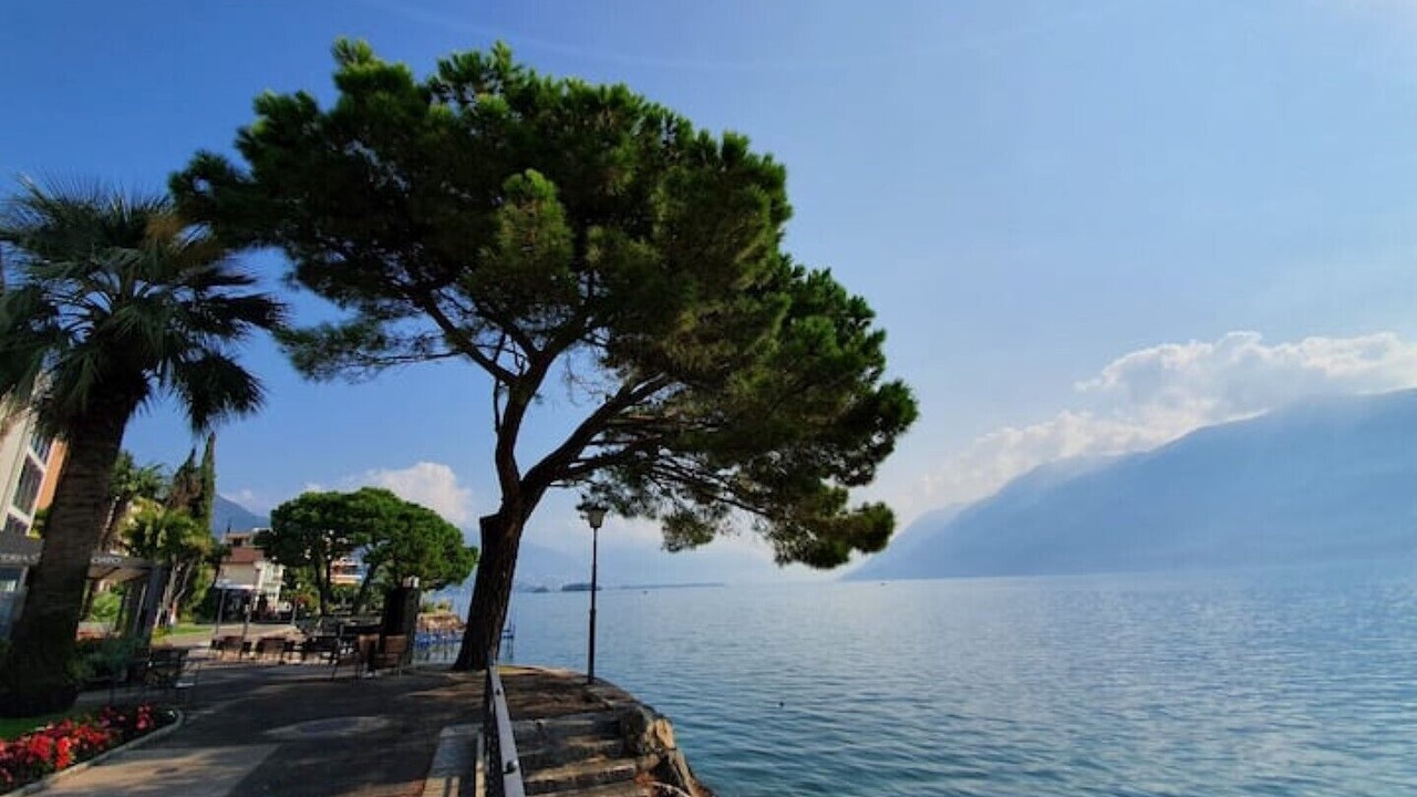 Photo of Others in Brissago