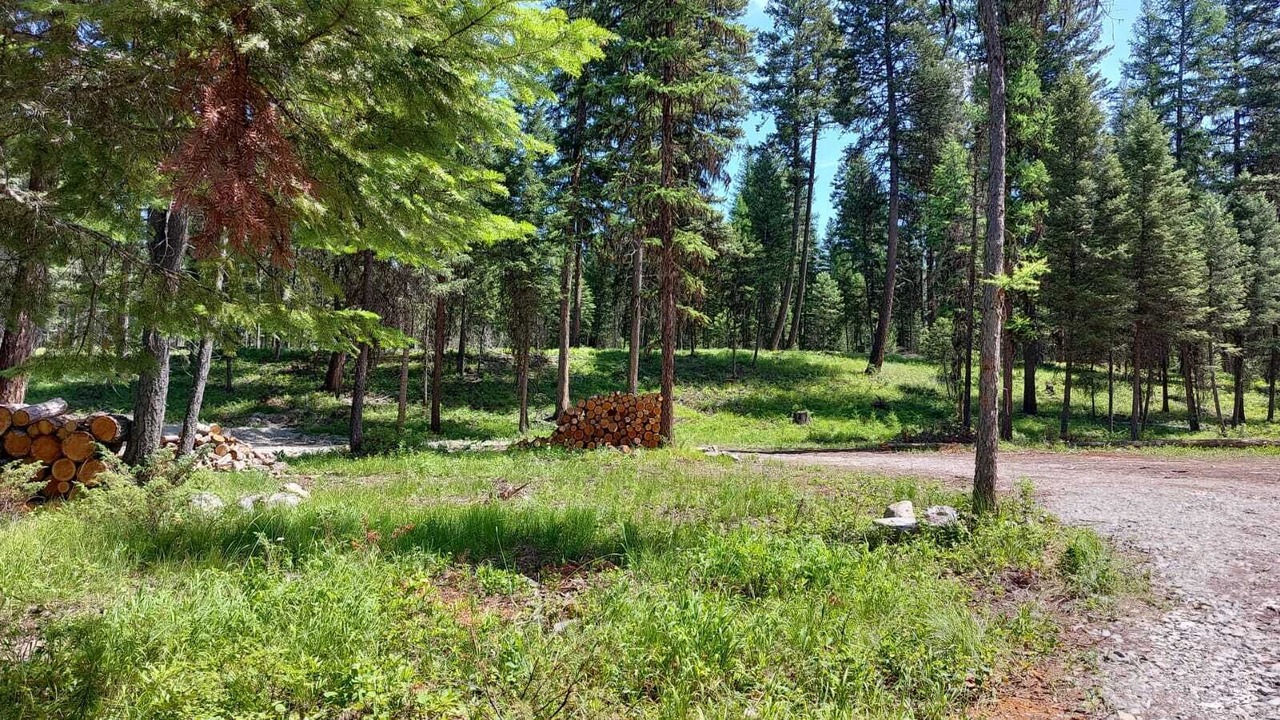 Photo of Outdoor in Olney