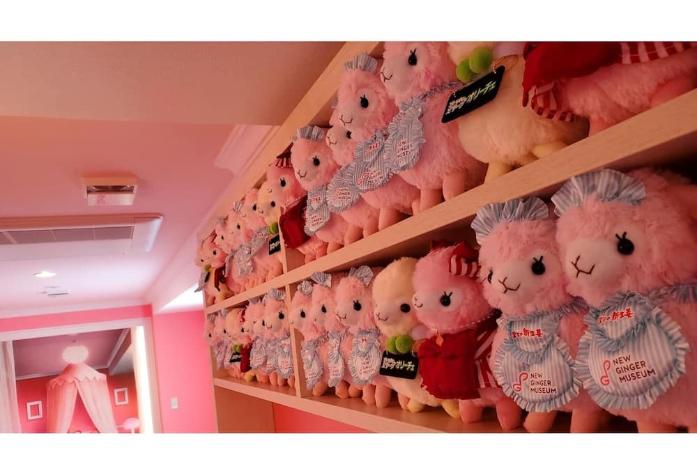 Photo of Others in Tochigi