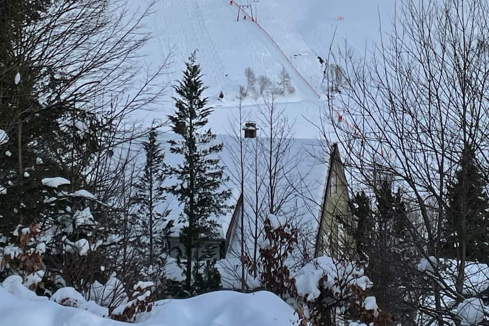 Photo of Others in Todtnauberg