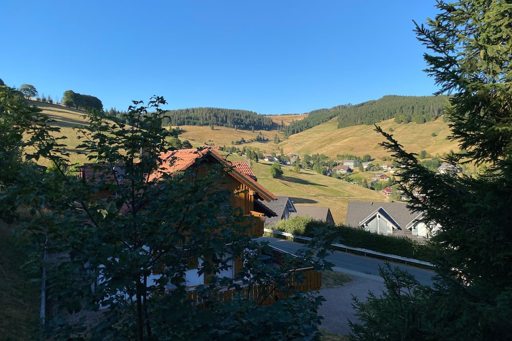 Photo of Others in Todtnauberg