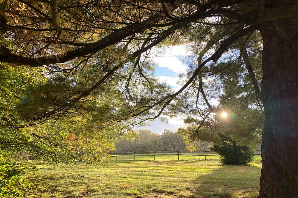 Photo of Outdoor in Old Lyme