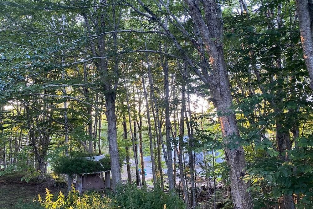 Photo of Outdoor in French Village