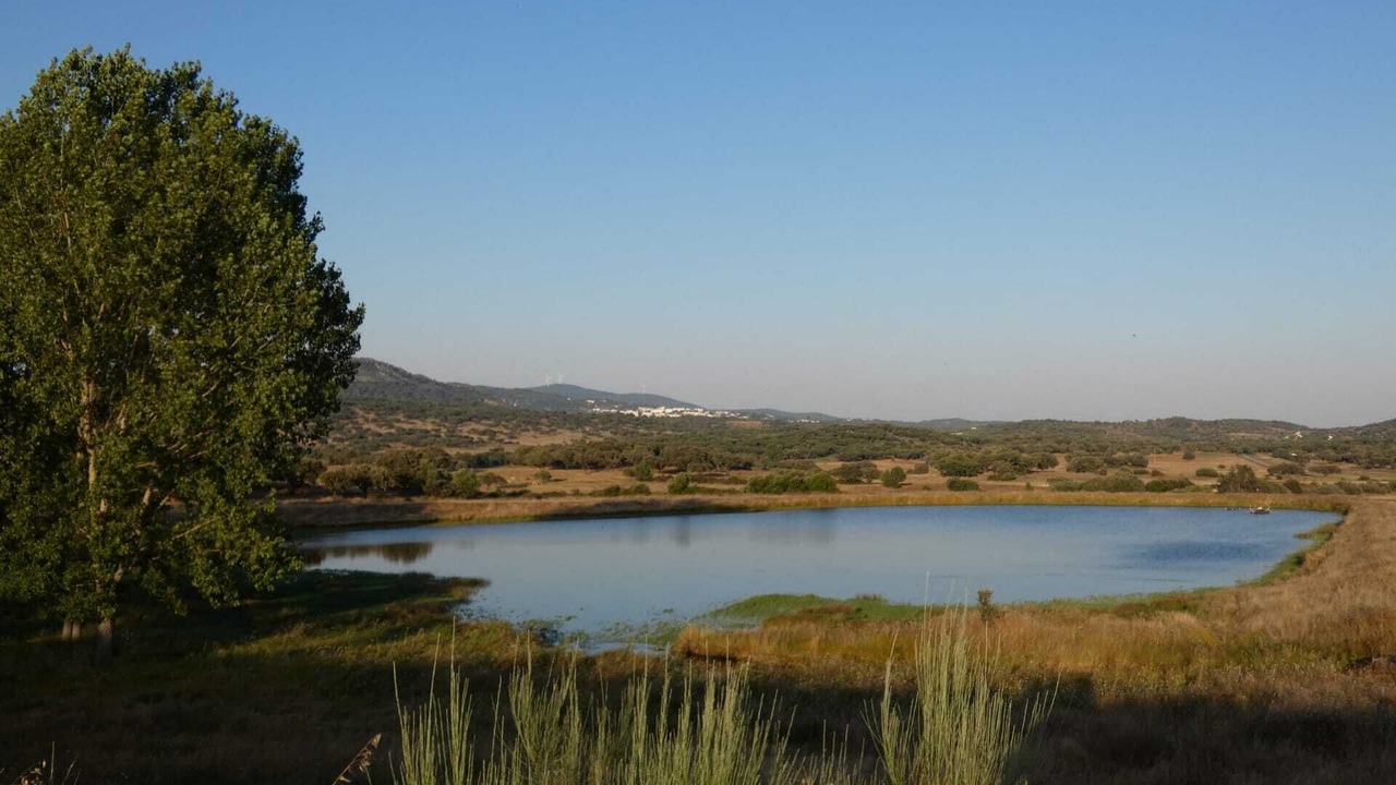 Photo of Outdoor in Fortios