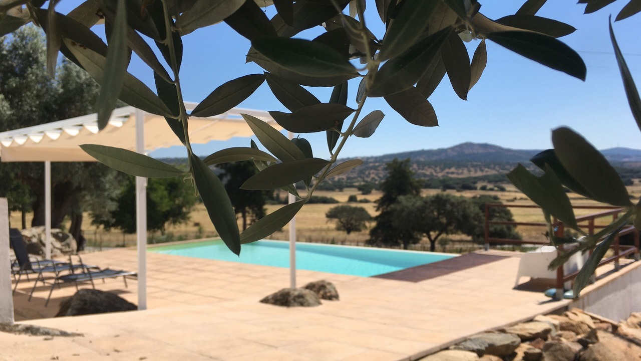 Photo of Outdoor in Fortios