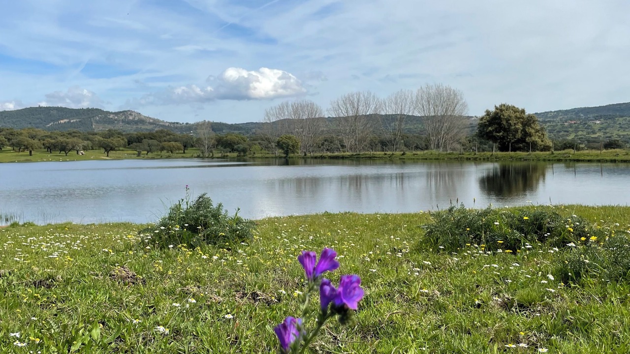 Photo of Outdoor in Fortios