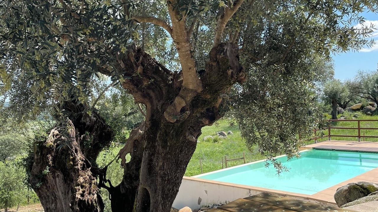 Photo of Outdoor in Fortios