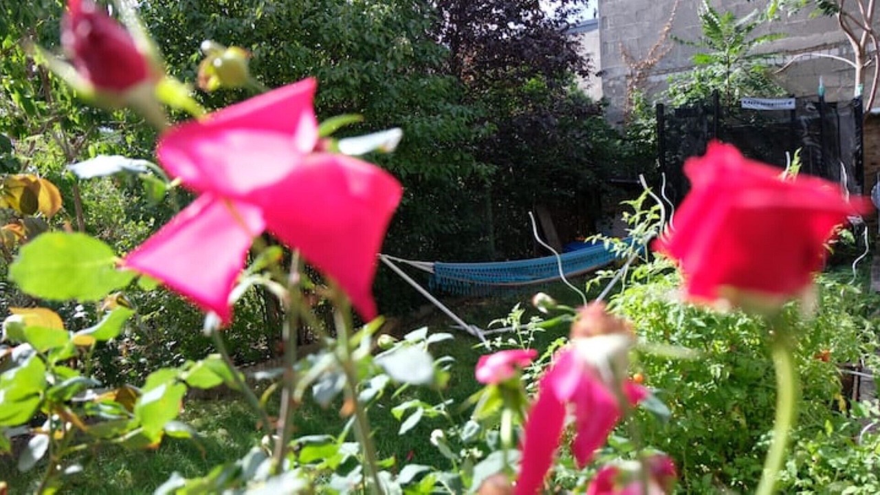 Photo of Outdoor in Kostheim