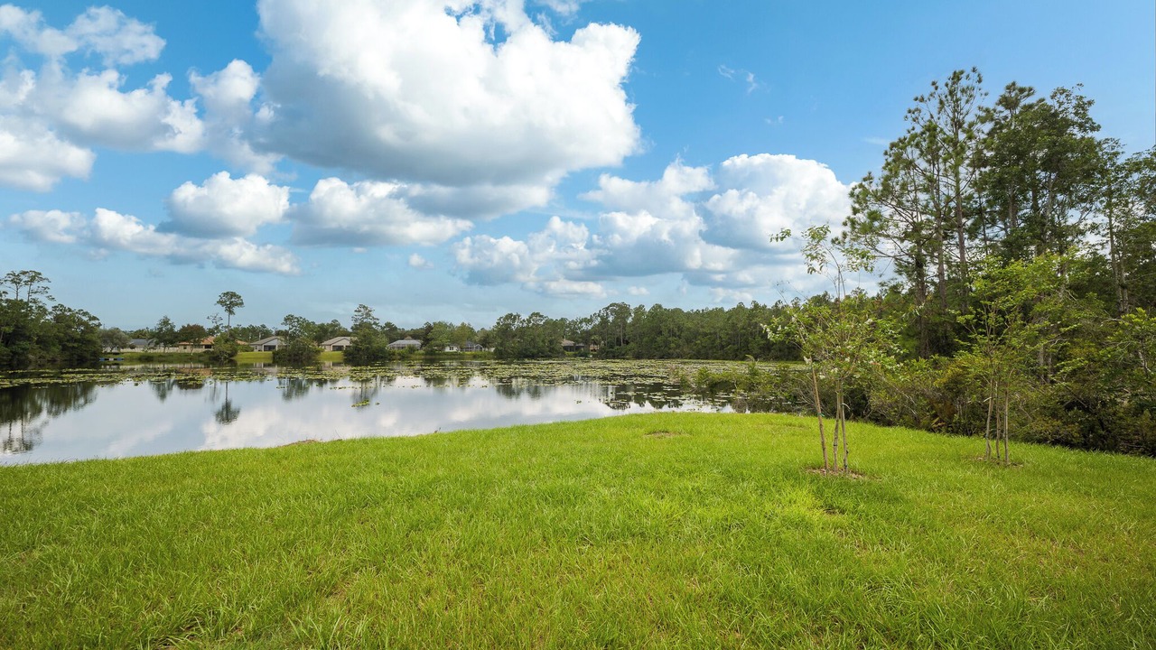 Photo of Others in Palm Harbor