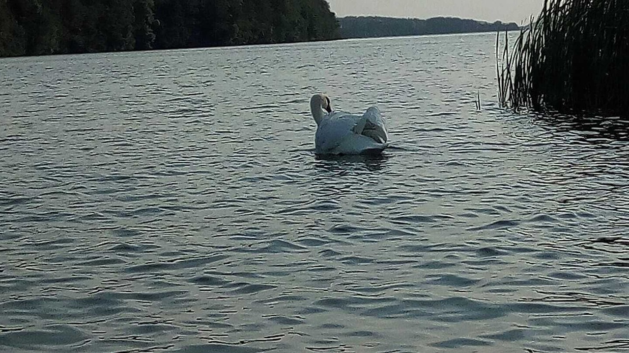 Photo of Others in Chmielno