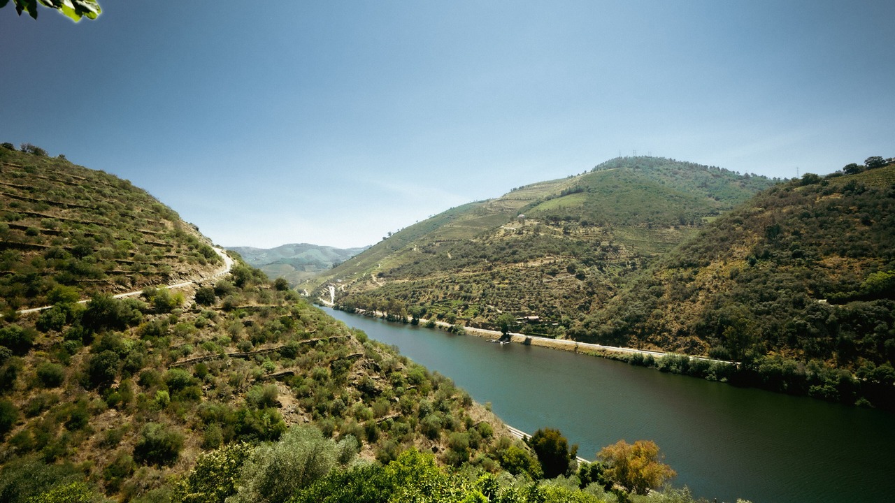 Photo of Outdoor in Peso da Regua
