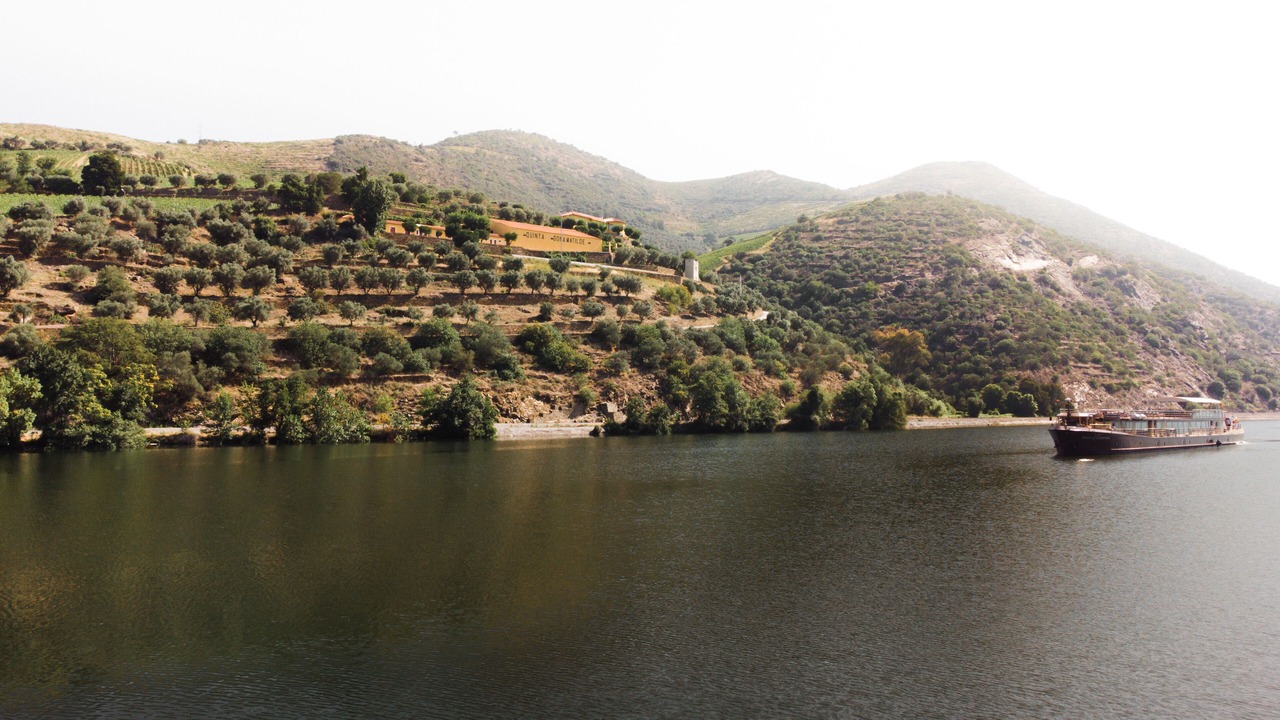 Photo of Outdoor in Peso da Regua