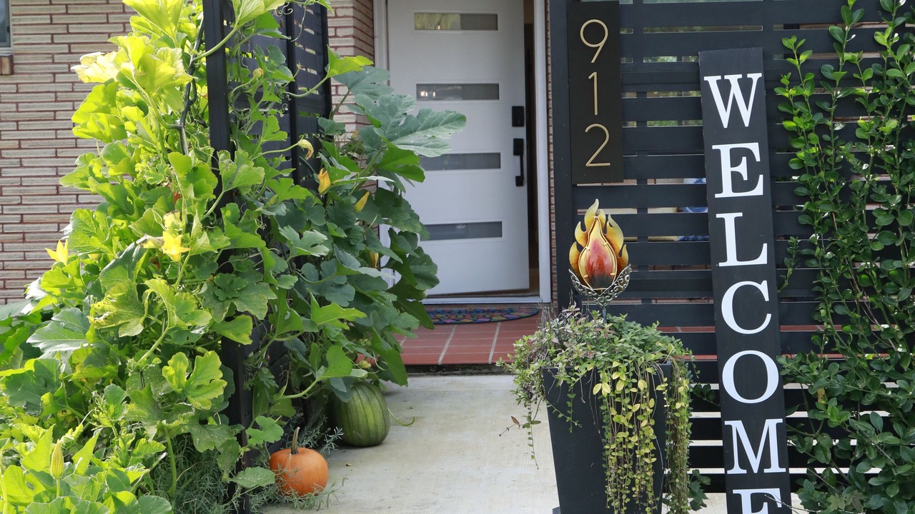 Photo of Outdoor in Kamiah
