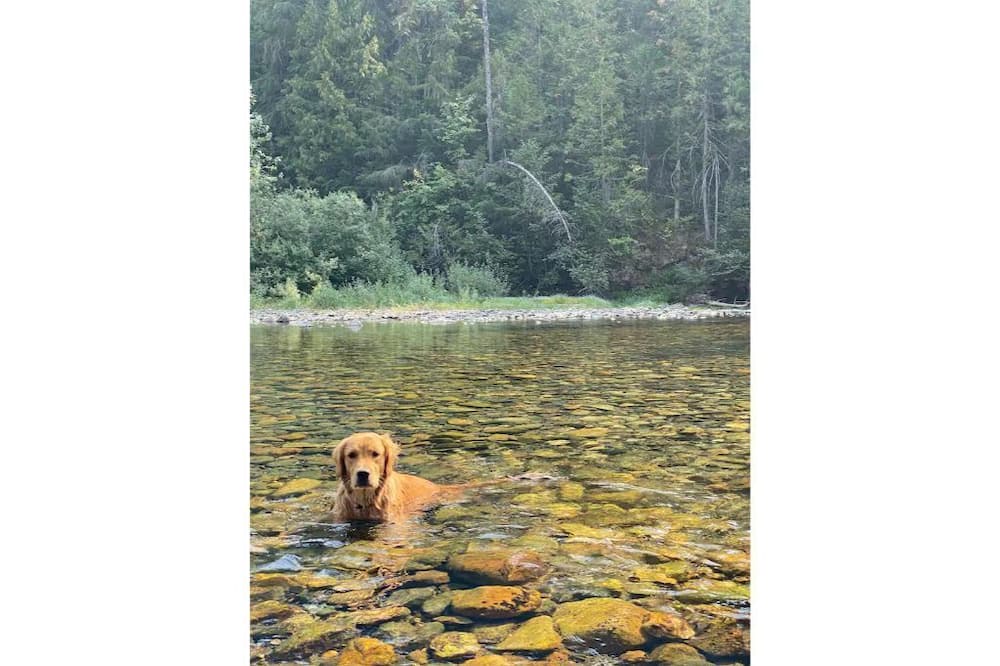 Photo of Outdoor in Central Kootenay