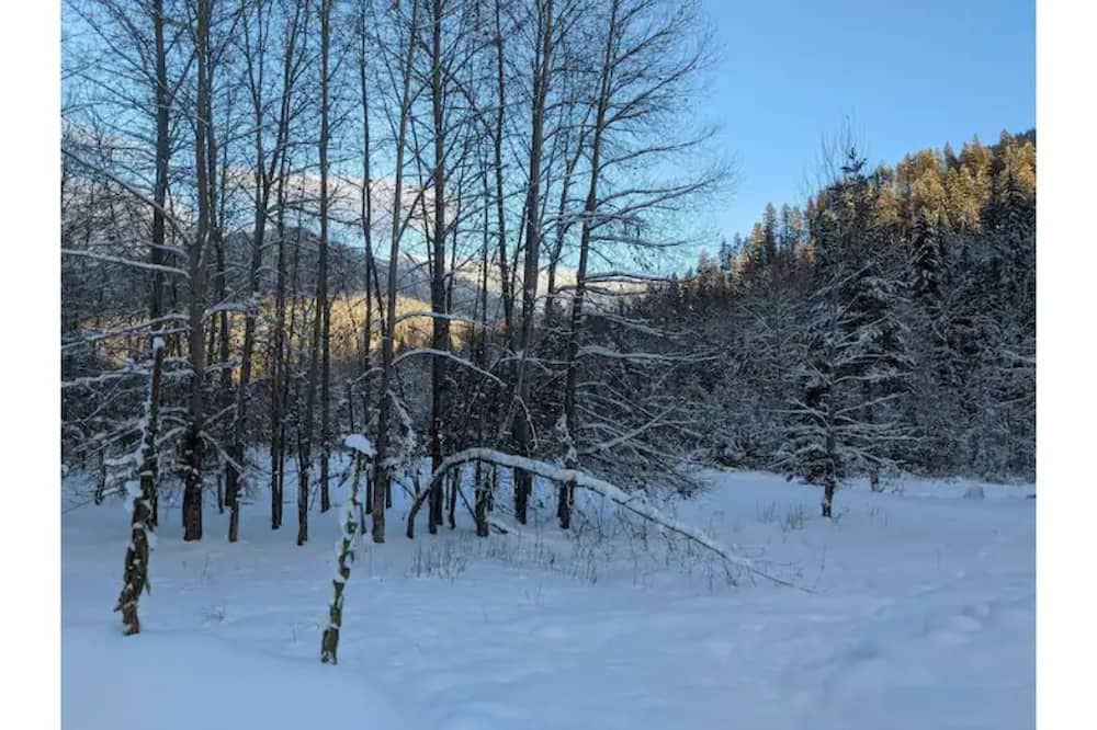 Photo of Outdoor in Central Kootenay