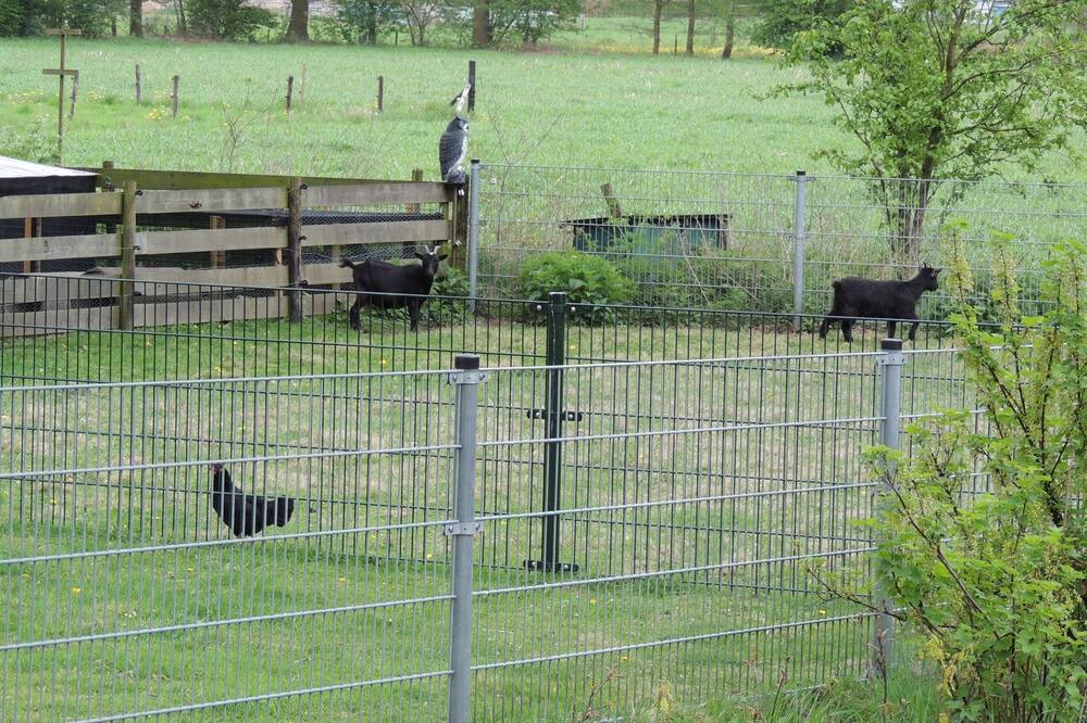 Photo of Others in Oldebroek
