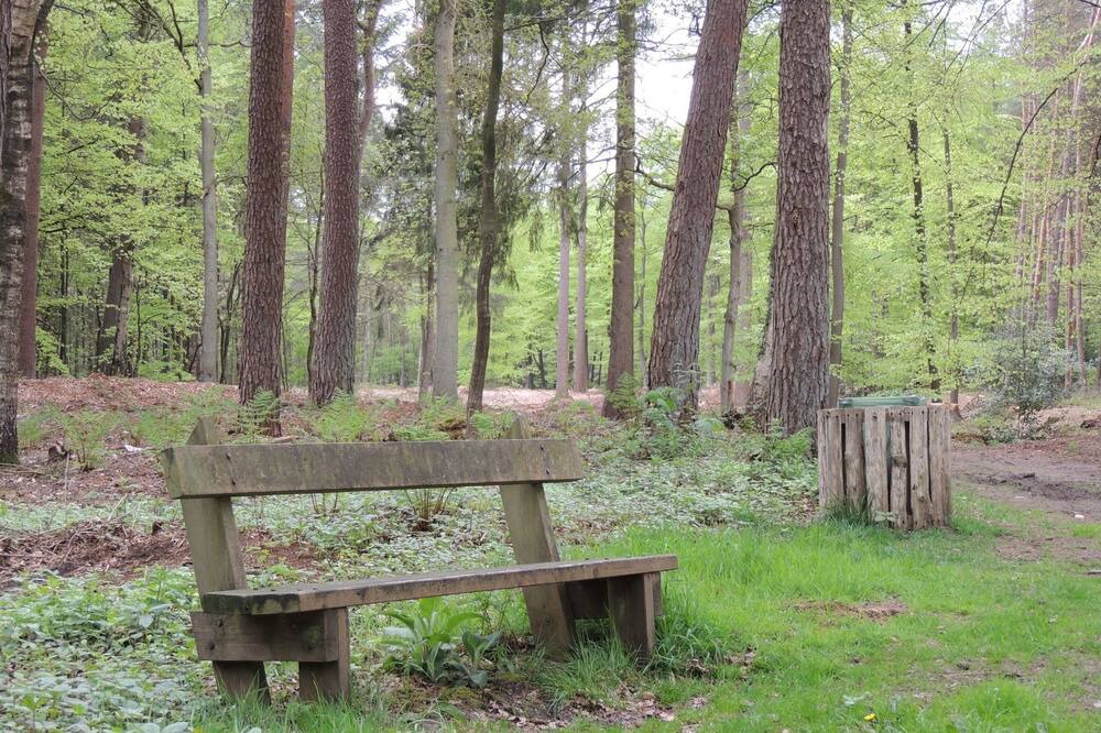 Photo of Others in Oldebroek