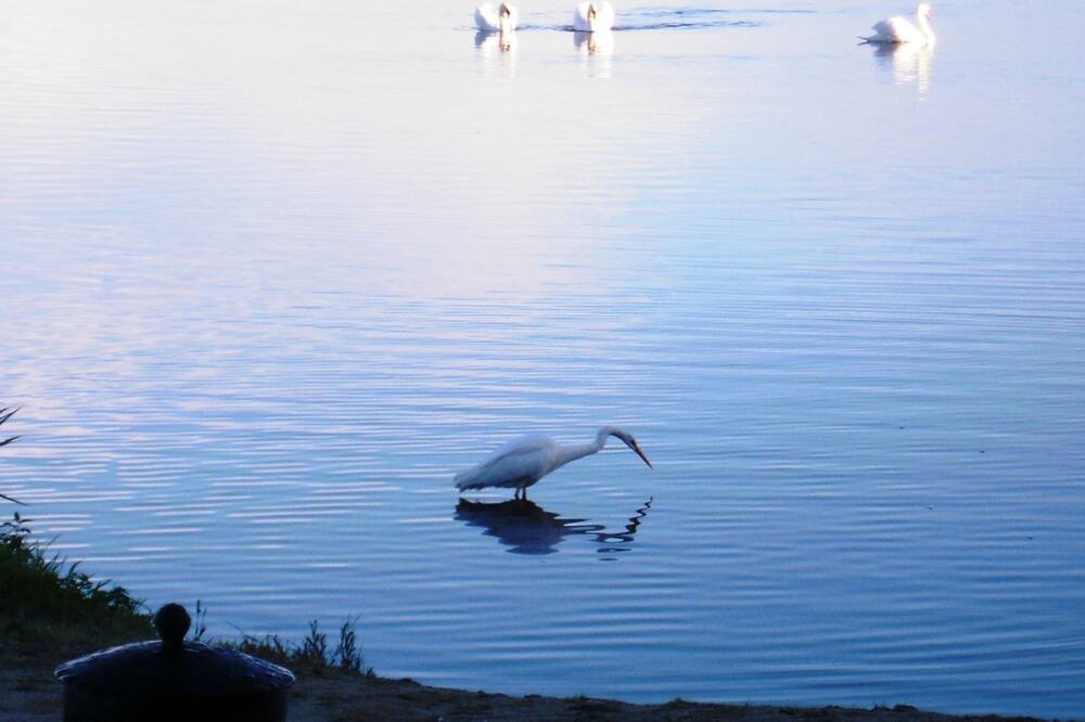 Photo of Others in Oldebroek