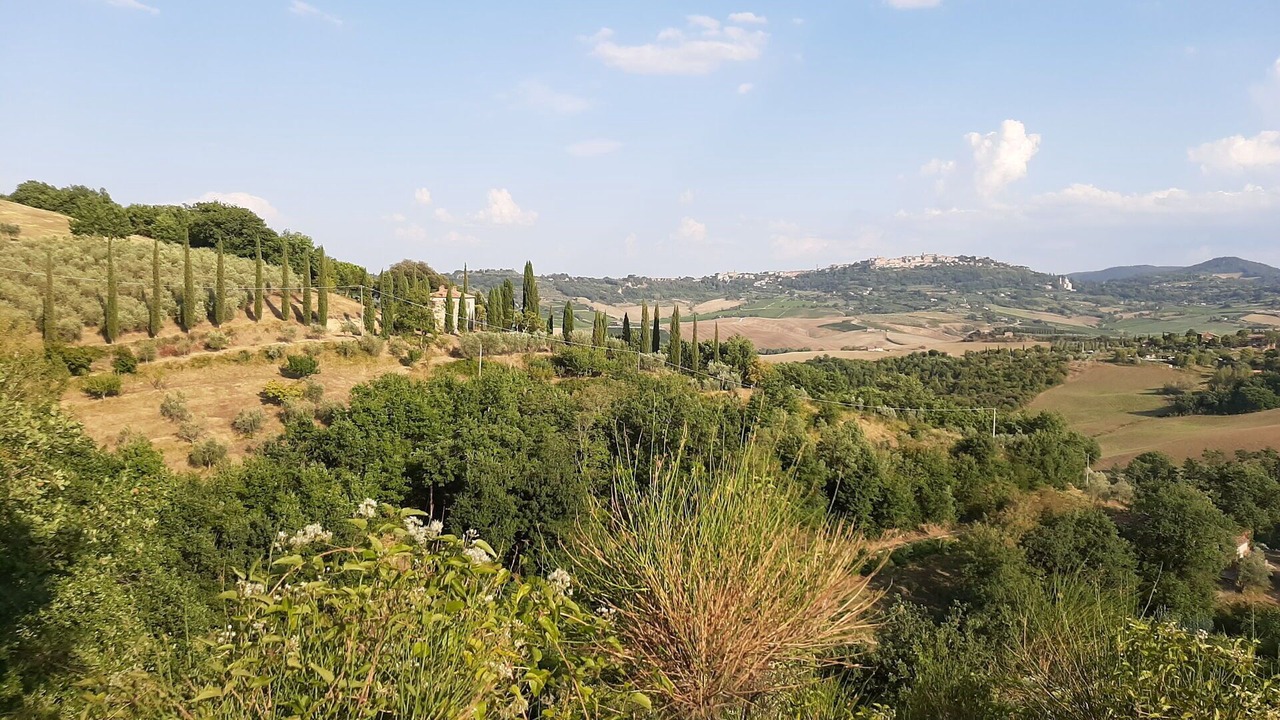 Photo of Others in Montefollonico