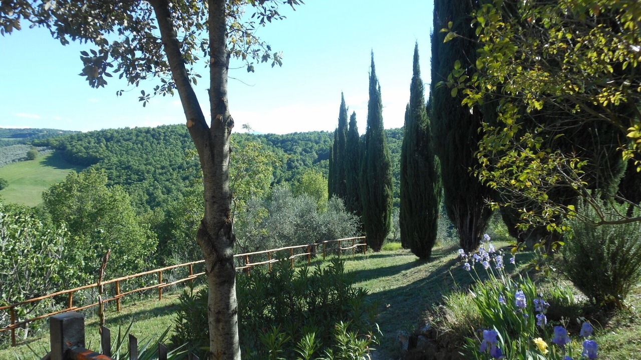 Photo of Outdoor in Montefollonico