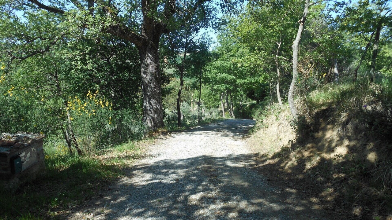 Photo of Outdoor in Montefollonico