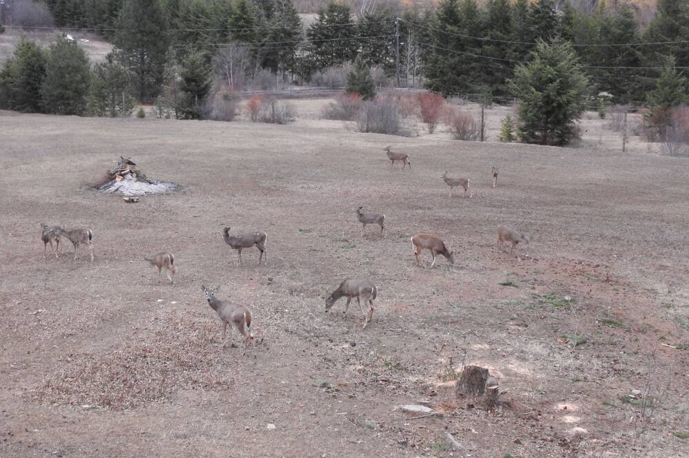 Photo of Outdoor in Creston