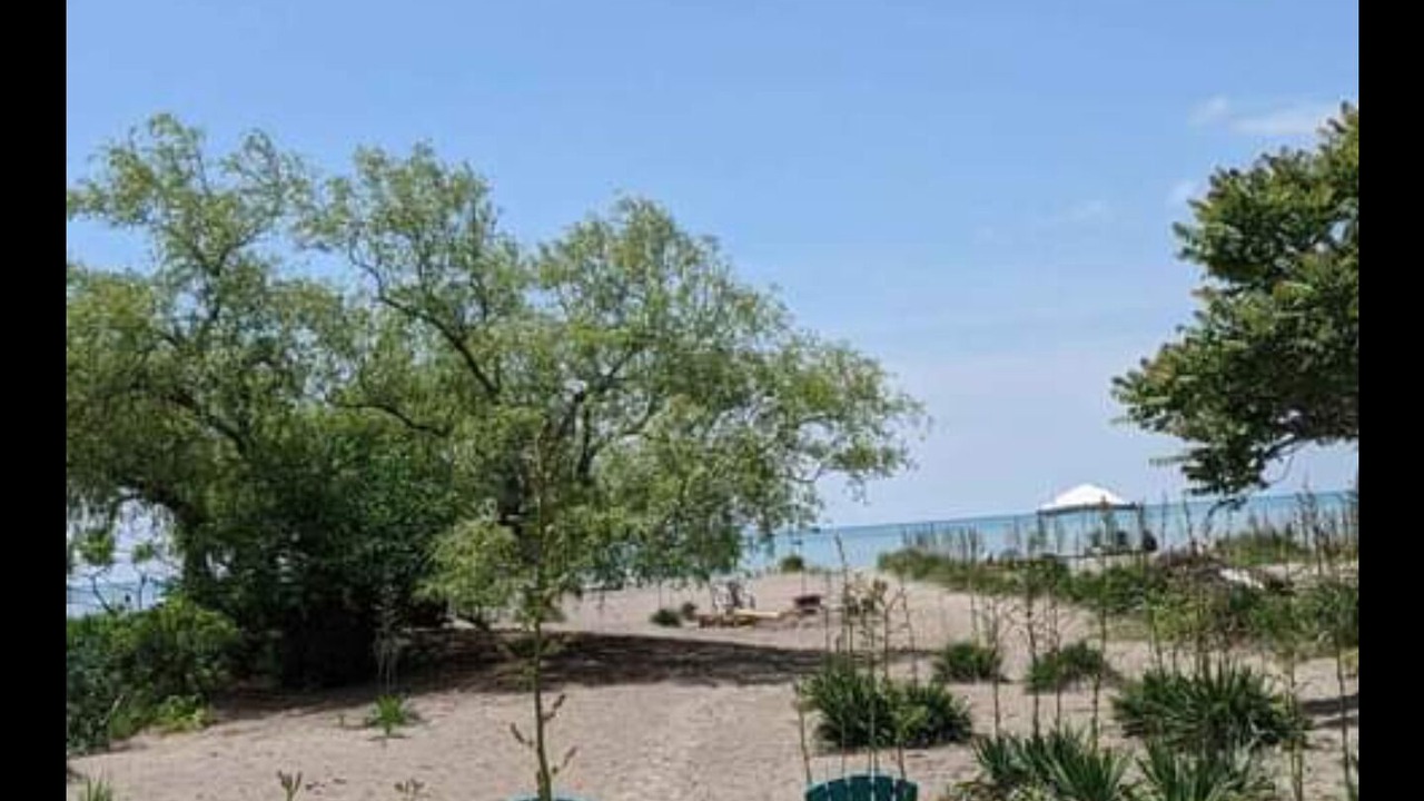 Photo of Outdoor in Port Stanley